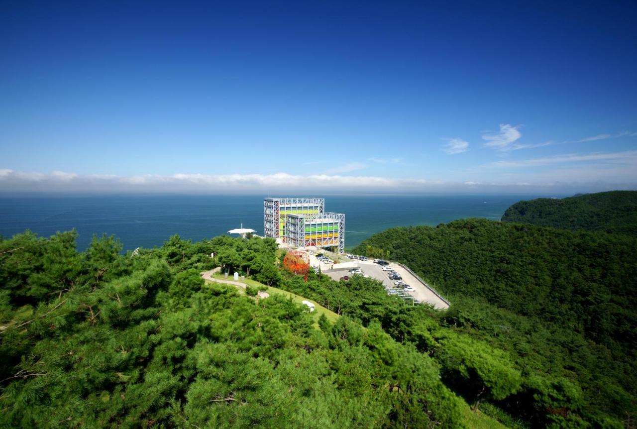 Haslla Art World Museum Hotel Gangneung Ngoại thất bức ảnh